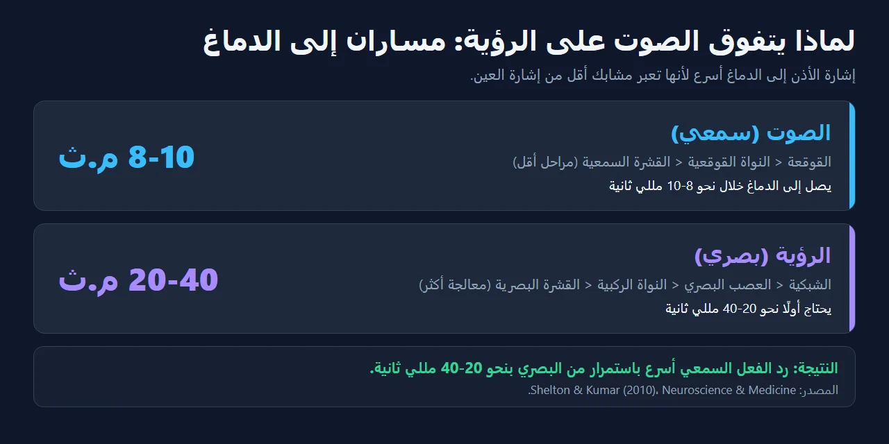لماذا يتفوق الصوت على الرؤية: 8-10 مللي ثانية مقابل 20-40