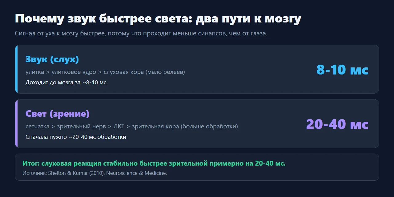 Почему звук быстрее света: 8-10 мс vs 20-40 мс